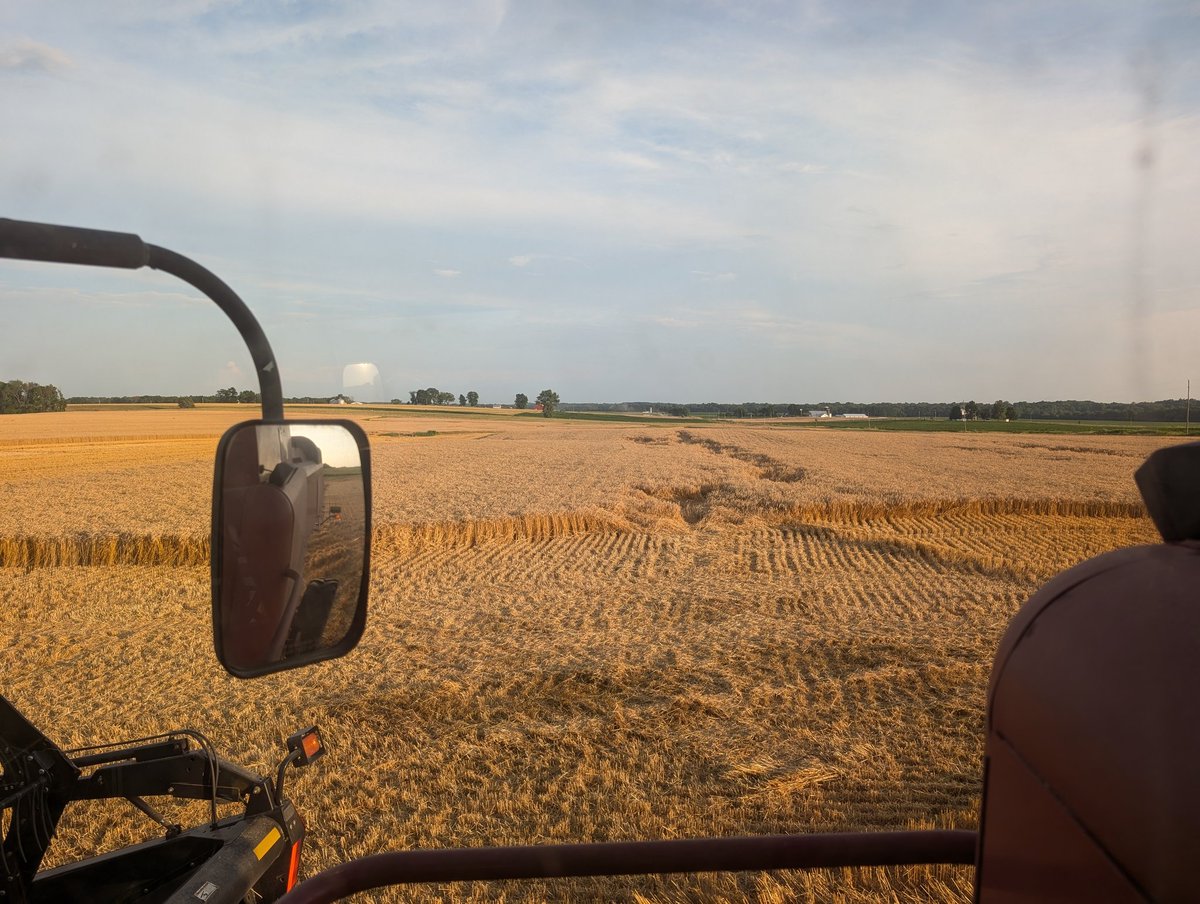 After the mechanics were able to bailed me out once again for being a spaz I got started.Wheat is fantastic, you just have to work for it. After all the rain I wouldn't have ever bet it would be this good. Hearing similar reports from several in this area.