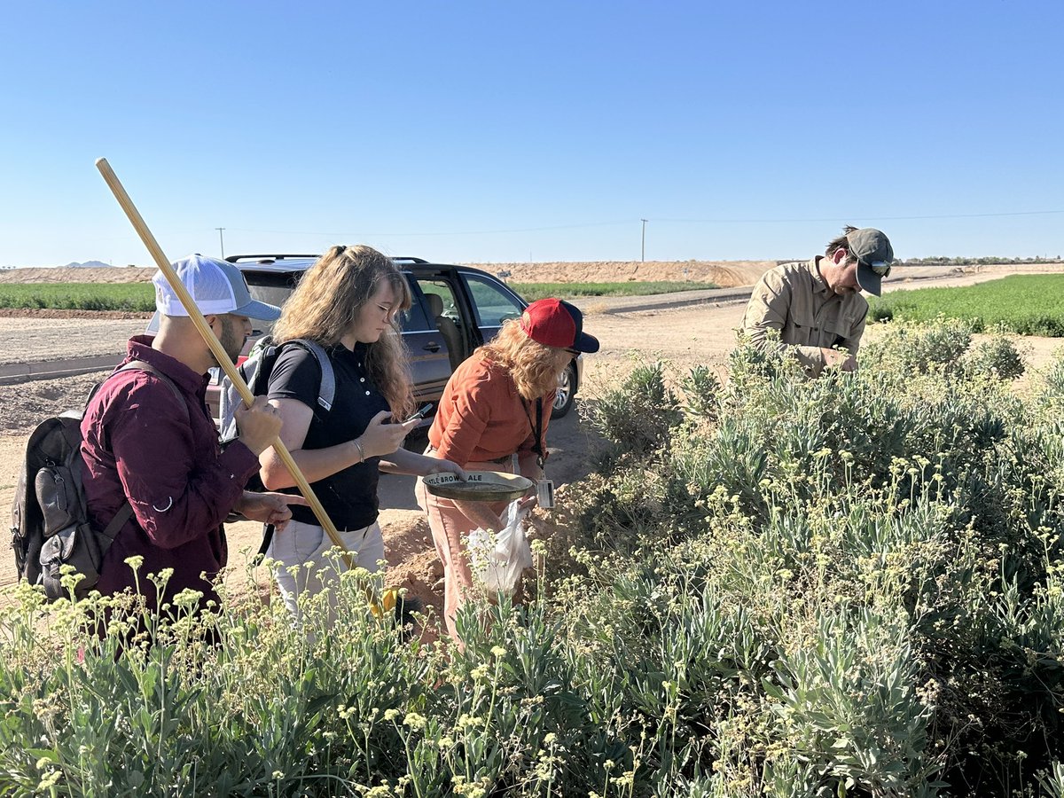 Sukhbir Singh tweet media