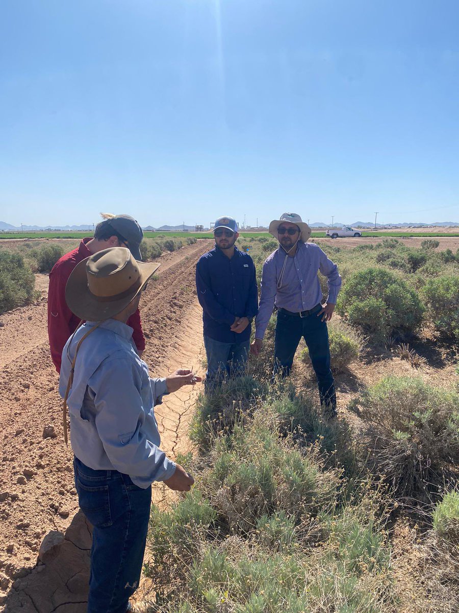 Sukhbir Singh tweet media