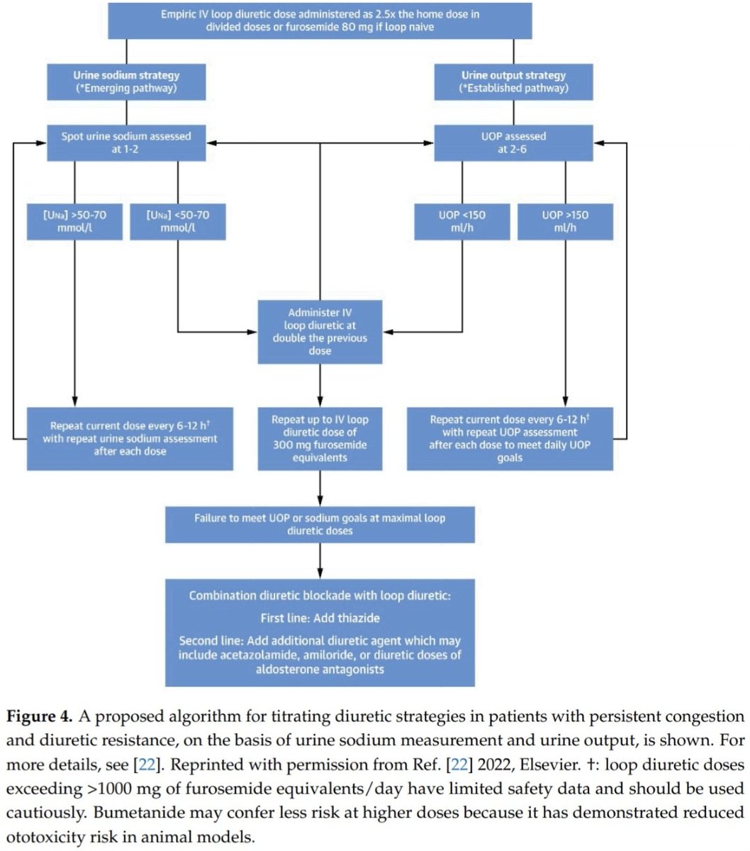 Resistencia a los Diuréticos en Ins. Cardíaca Aguda. 🚫💊💧🫀
🔹️La RD se puede definir como la incapacidad de aumentar la excreción de uresis y Na lo suficiente para aliviar el edema generalizado, la sobrecarga de volumen o la congestión a pesar del tratamiento con una dosis