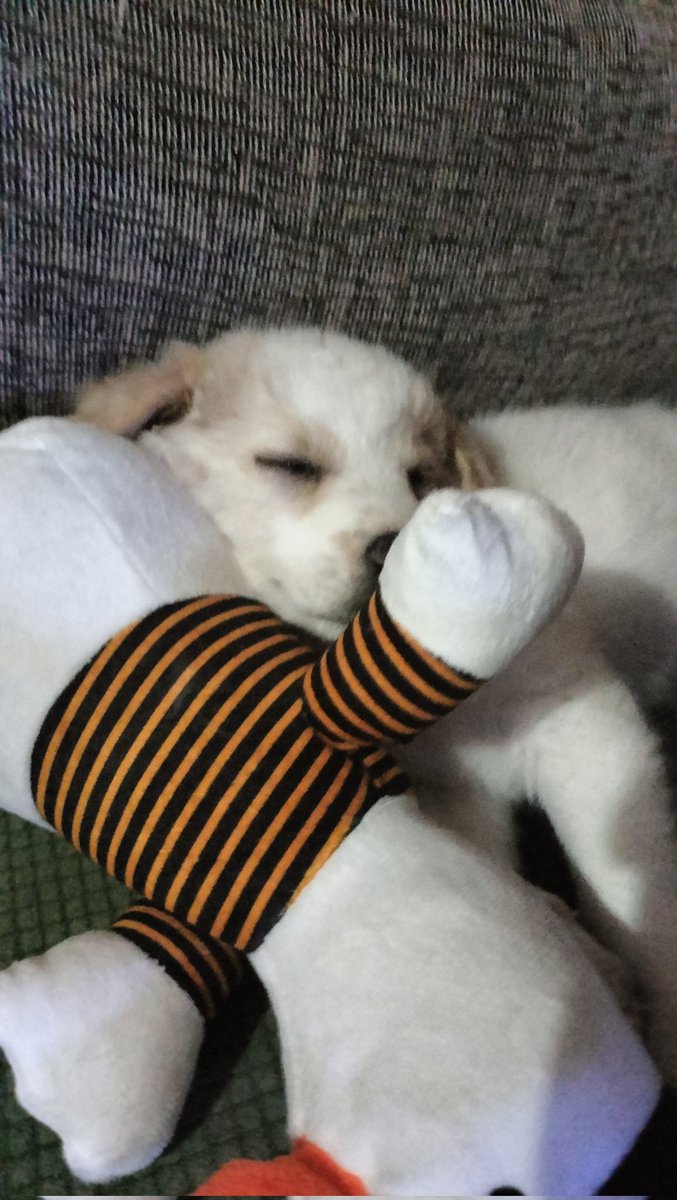 Estoy en vivo en Twitch, ¡Ven a pasar el rato! <a href="/uN_eSports_Gow/">uNbreakable eSports</a> twitch.tv/isopitamarusha…