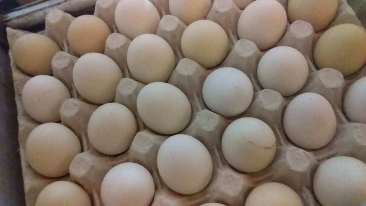 شن دخل إغلاق مضيق هرمز في سعر طبق الدحي في ليبيا .. 😅🤭