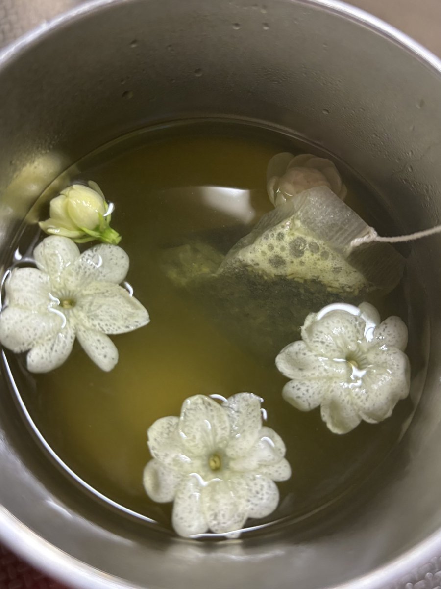 orchidcatcatcat's tweet photo. お久しぶりの投稿です
体調を大きく崩して、しばらく養生していました
元気をくれるのはネコと植物

茉莉花(ジャスミン)を摘んで熱い緑茶に浮かべる
チビネコプーにずっと見守られた蒸し暑い朝 https://t.co/MnlnGZK3eE