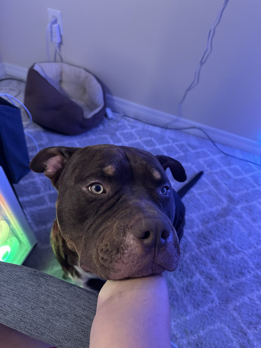 princesspamelao's tweet image. Trying to be sweaty in COD but my babies are needy 🥹💋wouldn’t have it any other way heheh