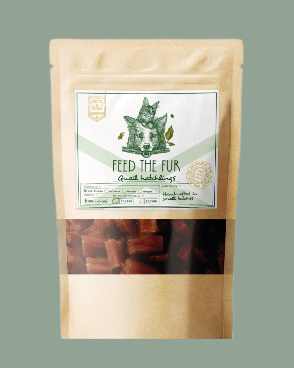 Today, we’re shining the spotlight on Moxie Mason, a wildly talented designer with a passion for designing all things illustrative and whimsical! ✨ Swipe through to see her magic in action &amp; show some love 😍 Dive into her full portfolio for more inspo: l8r.it/719m