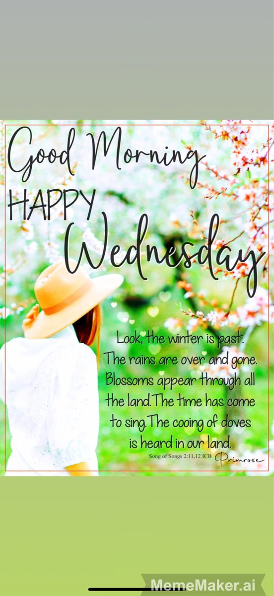 Good Morning 🌄 Friends 🤗🫶👋❤️💕🌹🥀
