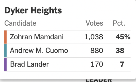 benfeuerherd's tweet image. Mamdani up double digits in Bay Ridge and nearly double digits in Dyker Heights and Bensonhurst