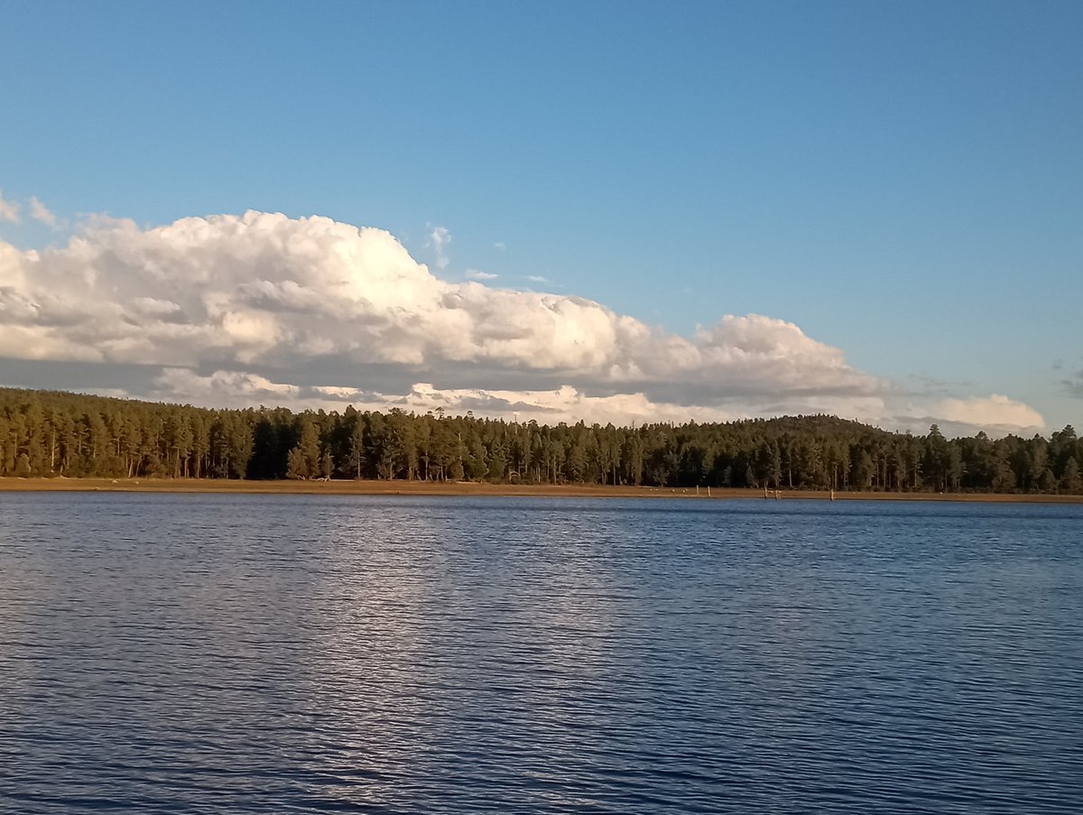 'Lil bit of moisture and instability moving up from the south into the White Mountains this afternoon.