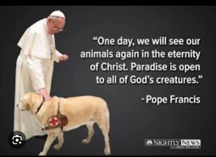 <a href="/pvand1/">ناصر البقمي،phyl</a> <a href="/hwinkler4real/">Henry Winkler</a> I'm so sorry. It's so hard to say au revoir to our fur babies. But they're waiting for us at the Rainbow Bridge 💔😥💜🙏🐾🌈