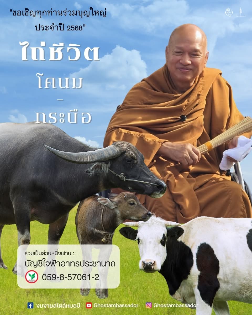 🐮ขอเชิญร่วมบุญไถ่ชีวิต โค-กระบือ กับหลวงพ่ออลงกต ประจำปี 2568 นำไปไว้ที่ ใจฟ้าฟาร์ม ลพบุรี

ท่านใดสนใจร่วมบุญสามารถร่วมได้ตั้งแต่วันนี้เป็นต้นไป จนถึงวันอาสาฬหบูชา🙏

ร่วมบุญได้ที่: ธ.กสิกรไทย 
0598570612 ใจฟ้าอาทรประชานาถ 

ร่วมบุญได้ตามกำลังศรัทธา ขออนุโมทนากับทุกท่านค่ะ🙏🪷