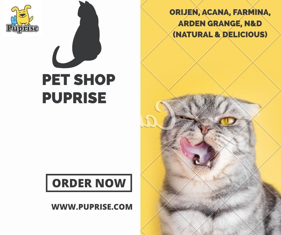 PupriseBox's tweet photo. 🐱 Crave-Worthy Nutrition for Your Cats!

🛒 Order Now at https://t.co/uLYI93nzw9
Because your feline deserves nothing but the finest! 😻

🔖 #PuprisePets #CatFoodIndia #PremiumCatFood #HealthyCatsHappyHomes #Orijen #Acana #NandD #Farmina #PetShopOnline #PupriseLove https://t.co/5GWeKORIw5