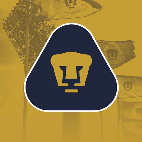 Y si los Pumas fichan a Christian Gray para jugar de central y al mismo tiempo dar clases en la UNAM?