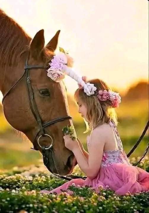 ⇜•💙•⇝
⇣

"صبـاح الخيـرِ، ثـم .. ♡
إنّـي أُعيـذُ قـلُوبَكُـم مِمّـا يـؤَرّقُهـا  
أو أن يطـولَ بهـا حُـزنٌ فـ يُـضـنيـها

⇣

┈┈••✦🦋✦••┈┈