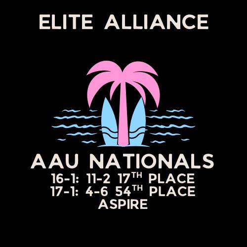 Elite Alliance Volleyball Club (@elitealliancev1) on Twitter photo 