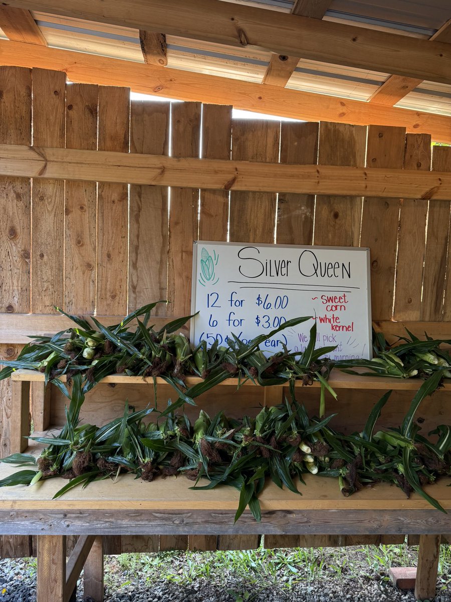 Iteach2ndgrade1's tweet image. I did this at 5:30 a.m - you?! Picked and loaded up our produce stand! Sleeping in tomorrow. #farmlife #summerjob