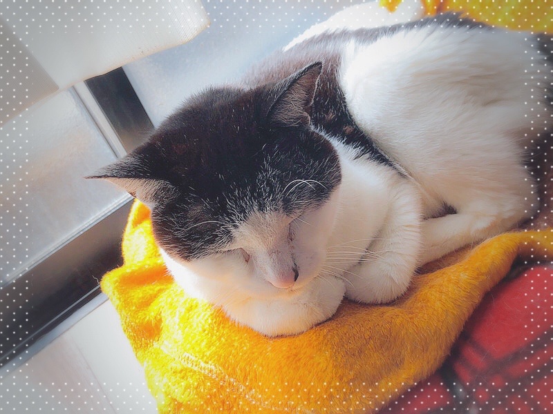 寝坊！おはようございます！