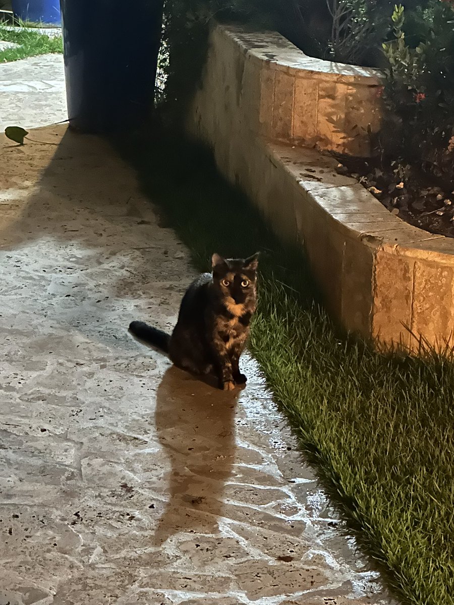 jose (@ditaseaaaa) on Twitter photo 