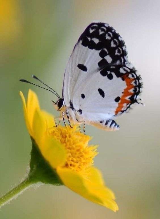 Worldwild05 (@worldwild05) on Twitter photo 