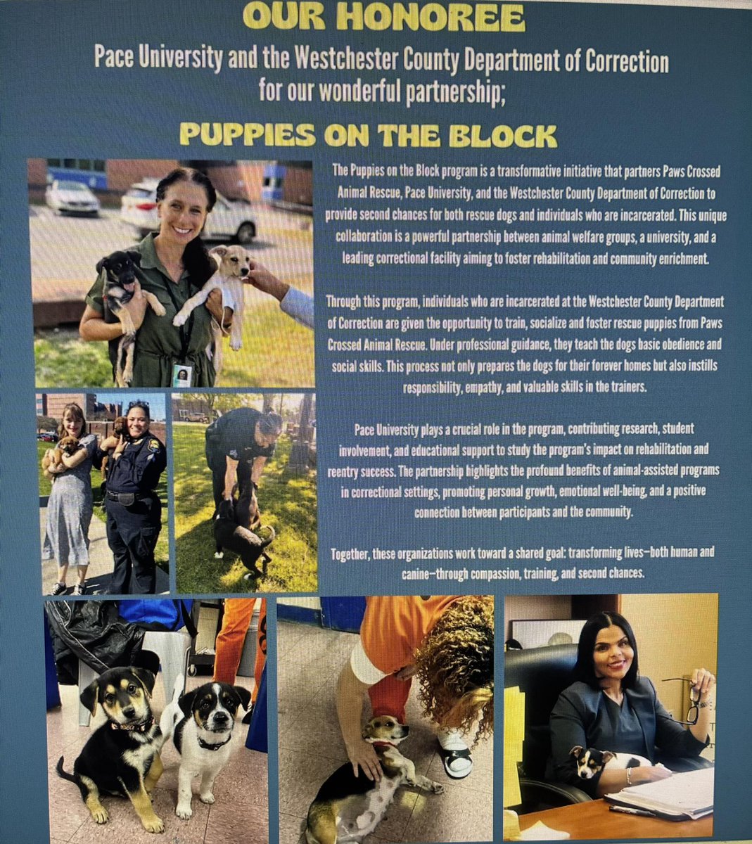 Don’t miss out on the furtastic fun!

September 13th - 11AM to 3PM - FDR Park - Lot 1 Yorktown

Puppies on the Block will be an honoree!
pawscrossedny.org/paws-crossed-d…

<a href="/PaceUniversity/">Pace University</a> <a href="/DysonCollege/">Dyson College of Arts and Sciences</a>