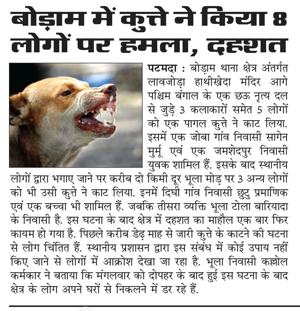 <a href="/DCEastSinghbhum/">DC EastSinghbhum</a> महोदय कल पटमदा - बोड़ाम क्षेत्र में कुल 14 लोगों को पागल कुत्ता ने काटा है. दुःखद बात यह है कि एमजीएम हॉस्पिटल में एंटी-रेबीज वैक्सीन (ARV) उपलब्ध नहीं है. 

<a href="/IrfanAnsariMLA/">Dr. Irfan Ansari</a> जी से आग्रह है कि संज्ञान ले. 
<a href="/HemantSorenJMM/">Hemant Soren</a> <a href="/MangalKalindi3/">मंगल कालिंदी</a> <a href="/Jsr_police/">Jamshedpur Police</a>