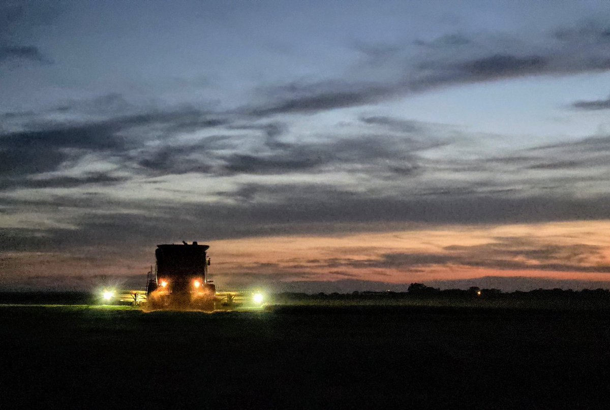 Drake Gard (@drakegard1) on Twitter photo 