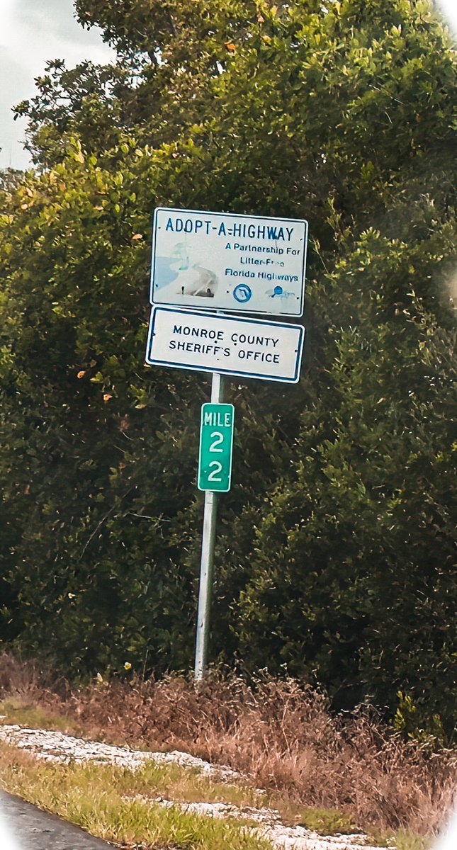 lifesciencefun's tweet image. 