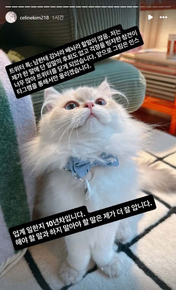 워든/Warden 👱‍♀️🦫🎪 tweet media