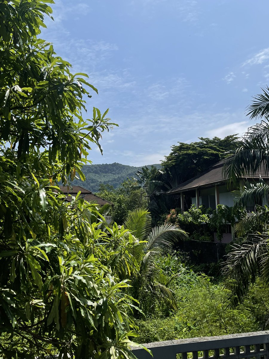 vmav's tweet image. ✈️✈️