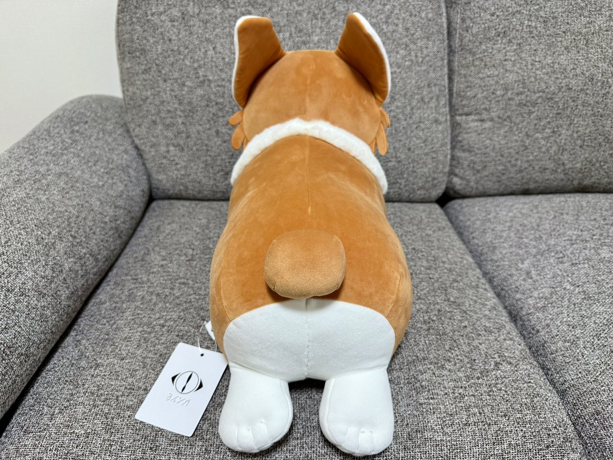 コーギーぬいぐるみ。 可愛いし触り心地めっちゃ良い🐶 #ヨルシカ