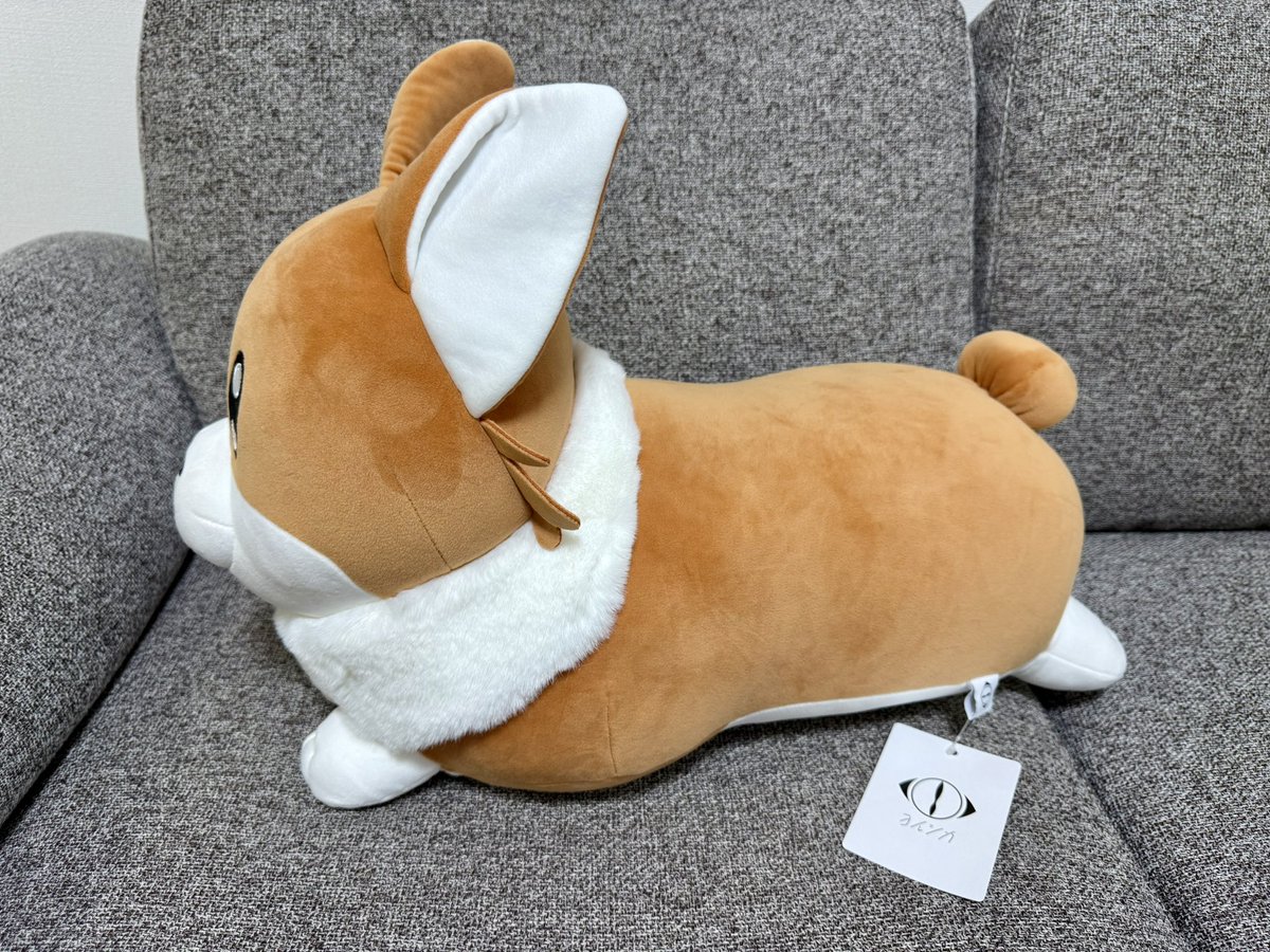 コーギーぬいぐるみ。 可愛いし触り心地めっちゃ良い🐶 #ヨルシカ