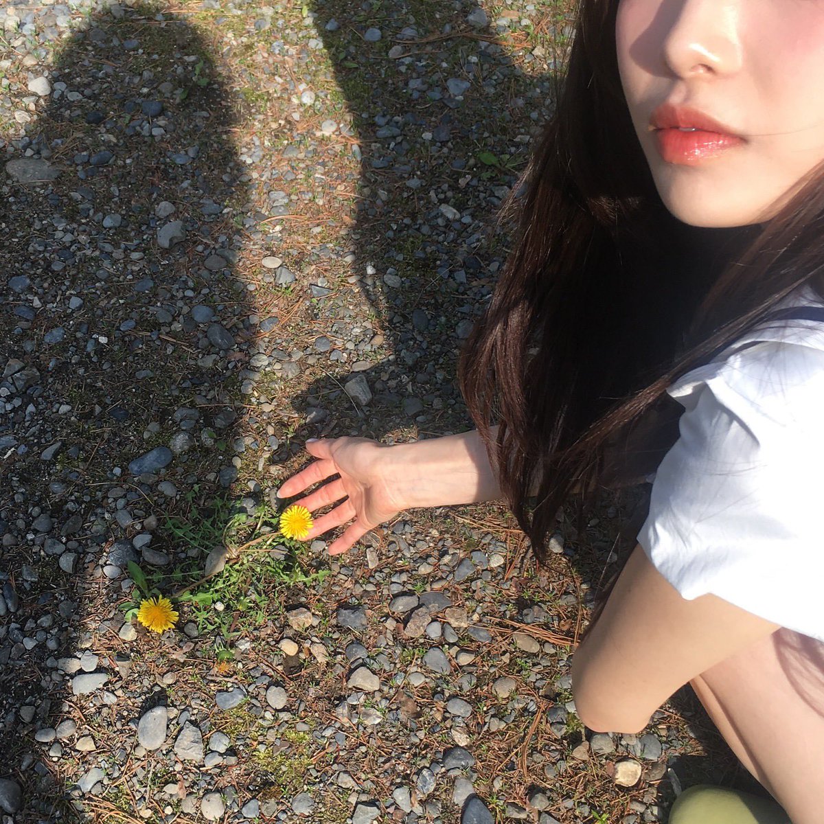 chuu pics tweet media