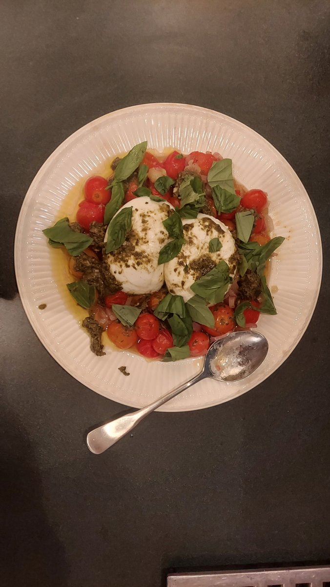 I feel like an artist with my fiancee, This was freaking amazing it was my cherry tomatoes burrata cheese pesto and shallot balsamic served with a garlic bread