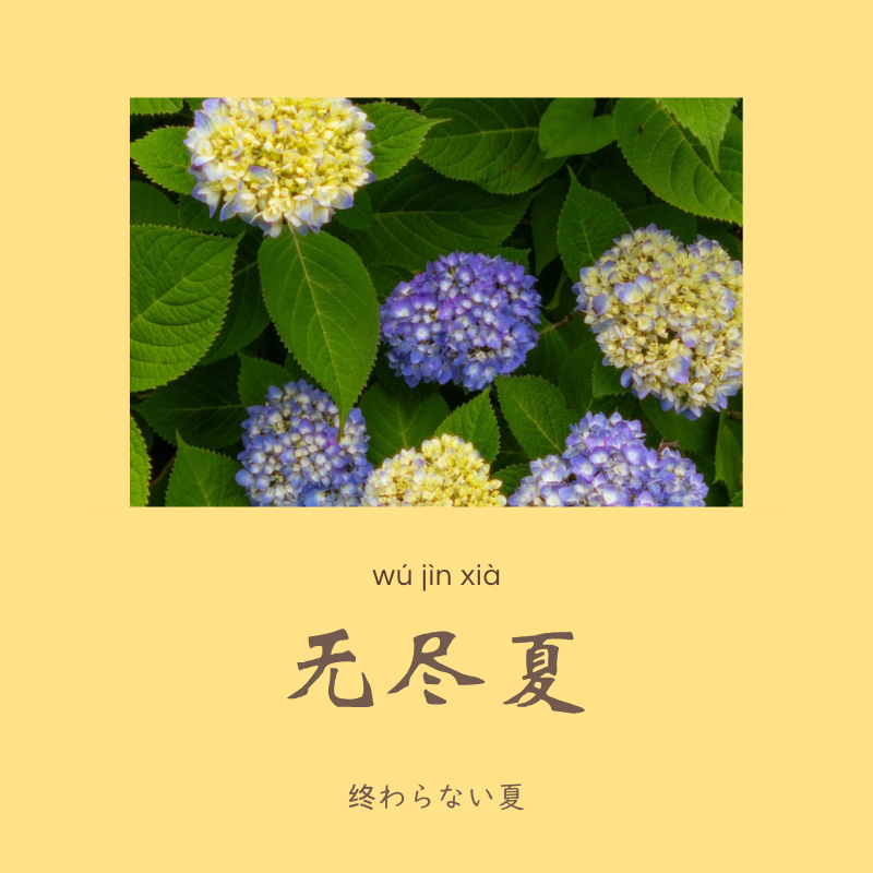 uchinesetrend's tweet photo. 中国語には、こんなロマンチックな言い方がある。
アジサイが咲くと、それだけで物語が始まりそうな気がする。 https://t.co/EkFkoF6KtG