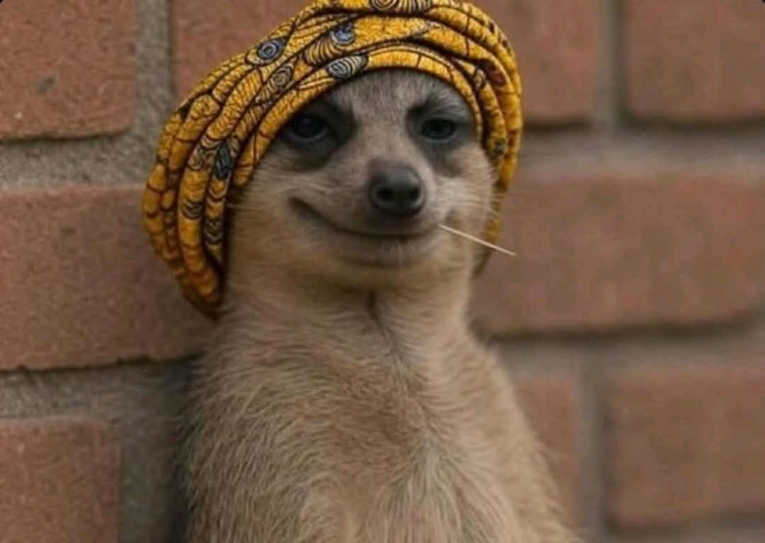 officialnedlin's tweet image. Your igbo mother in law watching you give birth to the third female child for her only son