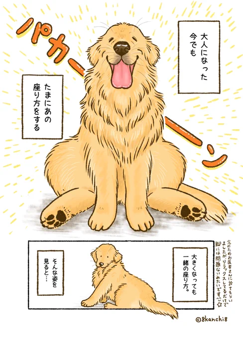 パピーの時(幼少期)のクセって、
かわらないよね〜(2/3) 