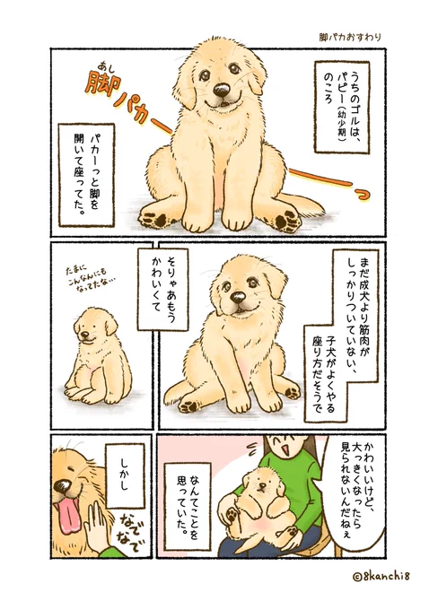 パピーの時(幼少期)のクセって、
かわらないよね〜(1/3) 