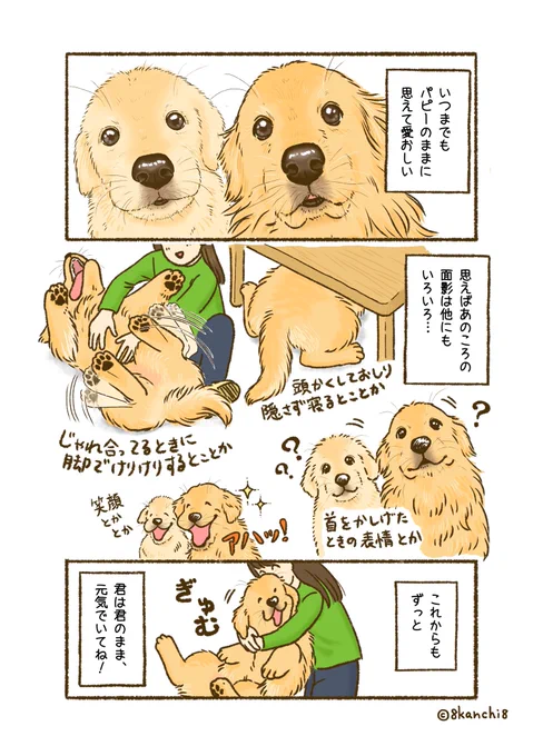 パピーの時(幼少期)のクセって、
かわらないよね〜(3/3) 