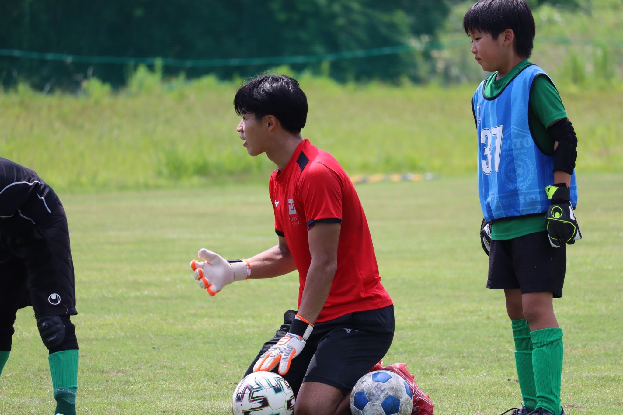 【超特価sale開催】  常葉大学サッカー部 on X:  ウェア