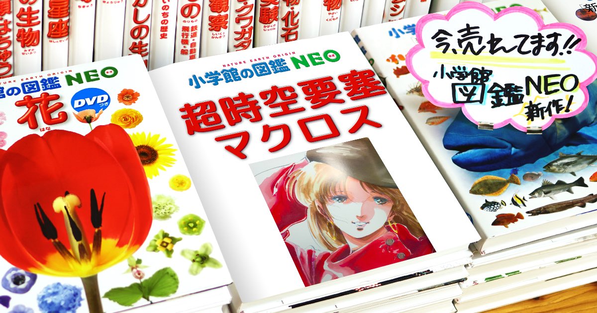 Vf1jmacross's tweet image. こんにちは。
蒸し暑い日ですね。
こんなマクロス本がいつか刊行されないかなぁ・・・
なんて愛・おぼ公開当時からずっと思いながらも、そろそろ41年経っていますね(笑)
熱中症や天候の急変にお気を付けて下さいね。