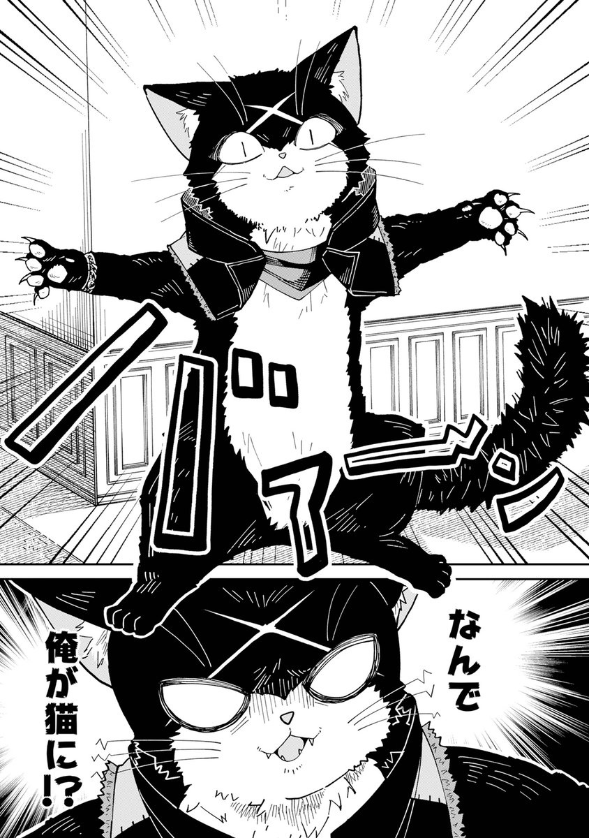 big_gangan's tweet photo. 特別読切『最強の暗殺者、猫になる。』
✒ノギ・ミサオ
＼本日発売 ／
月刊ビッグガンガンVol.07に掲載中‼️

クールな暗殺者が😎🗡️
キュートな猫ちゃんに変身――⁉️🙀💦
新鋭作家が送る可愛くておかしな
ファンタジーコメディ❗️

✨是非是非ご感想お待ちしております✨ https://t.co/GAPOBe3wNC