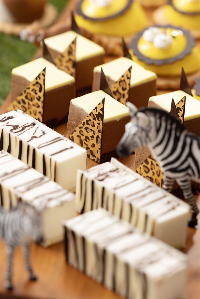 広島市安佐動物公園【公式】 tweet media