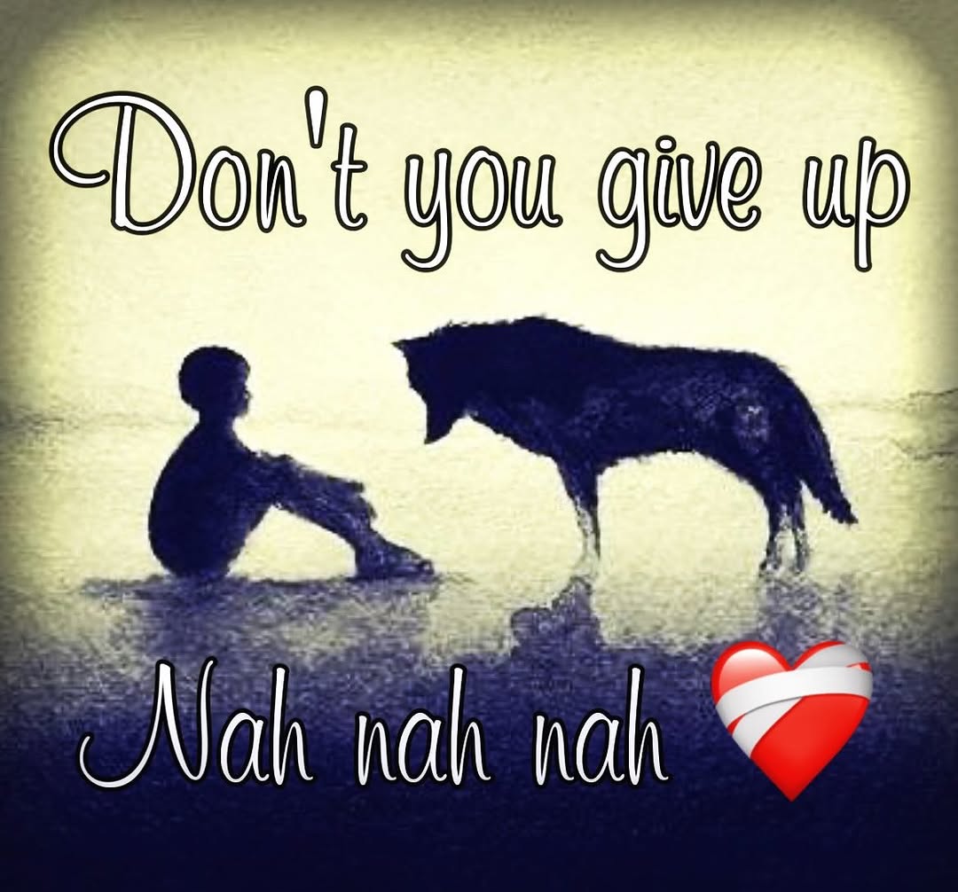 vamptact's tweet image. 