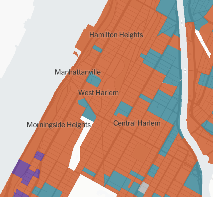 Adam Carlson tweet media
