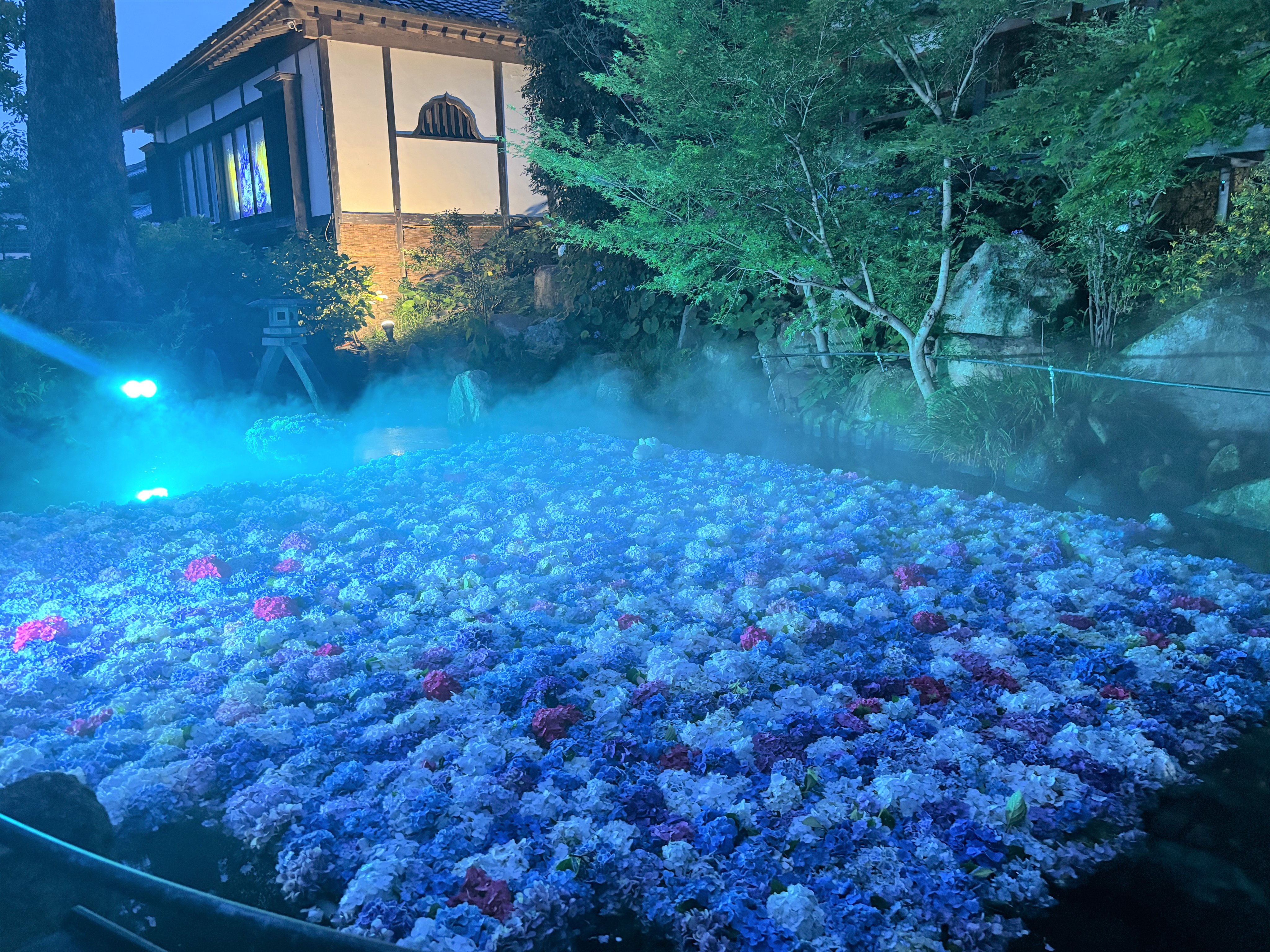 紫音✨河津桜ガーネットルースお守り 紫音様オリジナルポーション✨お纏め 桜川市観光協会 on X: 