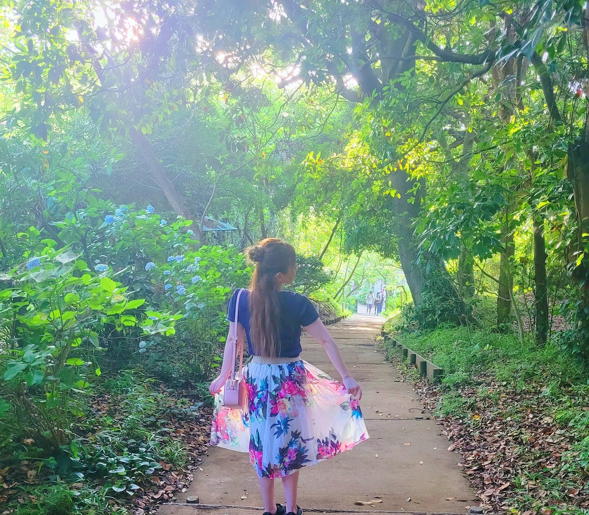 森の妖精発見？！💖🧚
江の島で見つけてね💕✨️