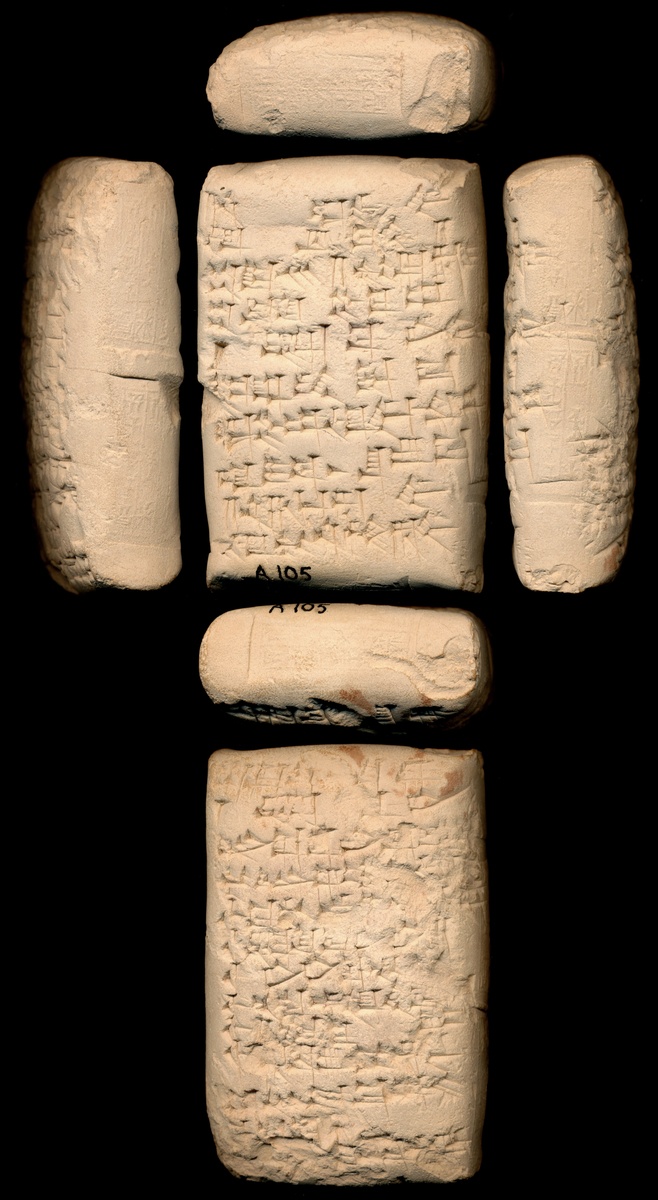 It's #TabletTuesday! This tablet has the name of six witnesses who attest to the fact that an official Sin-bani has sworn an oath  concerning the ox and sheep of the Amorites. It any of the animals go missing, that he is responsible.