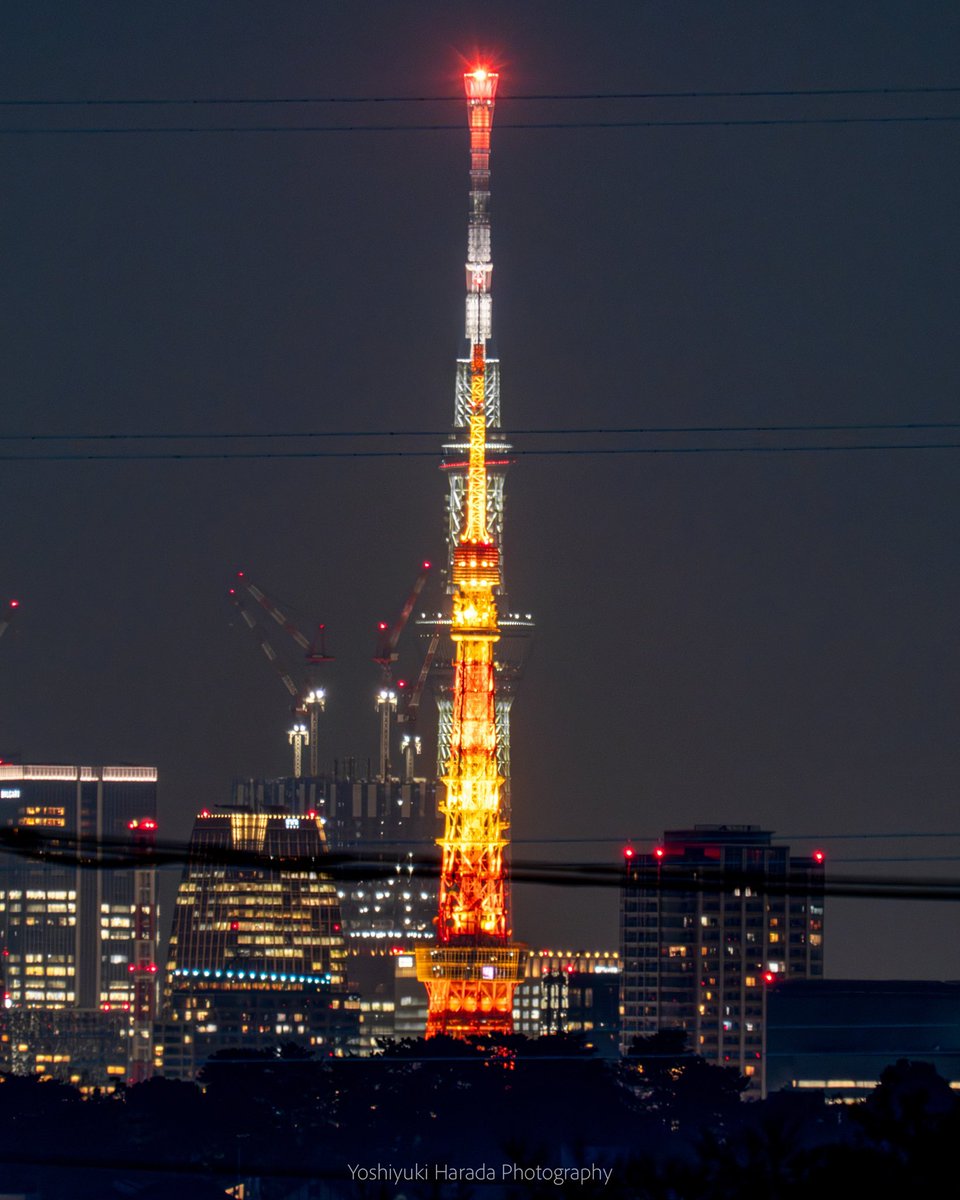 スカイツリーの前にそびえ立つ東京タワーがカッコよかった