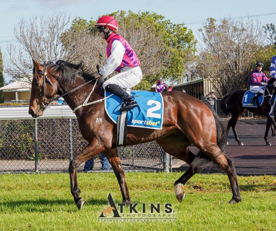 Terry Hann (@terry_hann) on Twitter photo Emily Finnegan, riding the Sue & Jason Jaensch trained Donam, won the Sportsbet Same Race Multi Maiden Plate at Gawler.
Photos ~ AtkinsPhotography.com.au
Pre-race photos ~ AtkinsRacing.com.au
<a href="/RacingSA/">Racing SA</a> <a href="/CountryRacingSA/">Country Racing SA</a> <a href="/Gawlerjockey/">Gawler Jockey Club</a> <a href="/sportsbetcomau/">Feed Nation x Sportsbet</a> <a href="/emily_finnegan/">Emily Finnegan 🇮🇪</a> Emily Finnegan, riding the Sue & Jason Jaensch trained Donam, won the Sportsbet Same Race Multi Maiden Plate at Gawler.
Photos ~ AtkinsPhotography.com.au
Pre-race photos ~ AtkinsRacing.com.au
<a href="/RacingSA/">Racing SA</a> <a href="/CountryRacingSA/">Country Racing SA</a> <a href="/Gawlerjockey/">Gawler Jockey Club</a> <a href="/sportsbetcomau/">Feed Nation x Sportsbet</a> <a href="/emily_finnegan/">Emily Finnegan 🇮🇪</a>