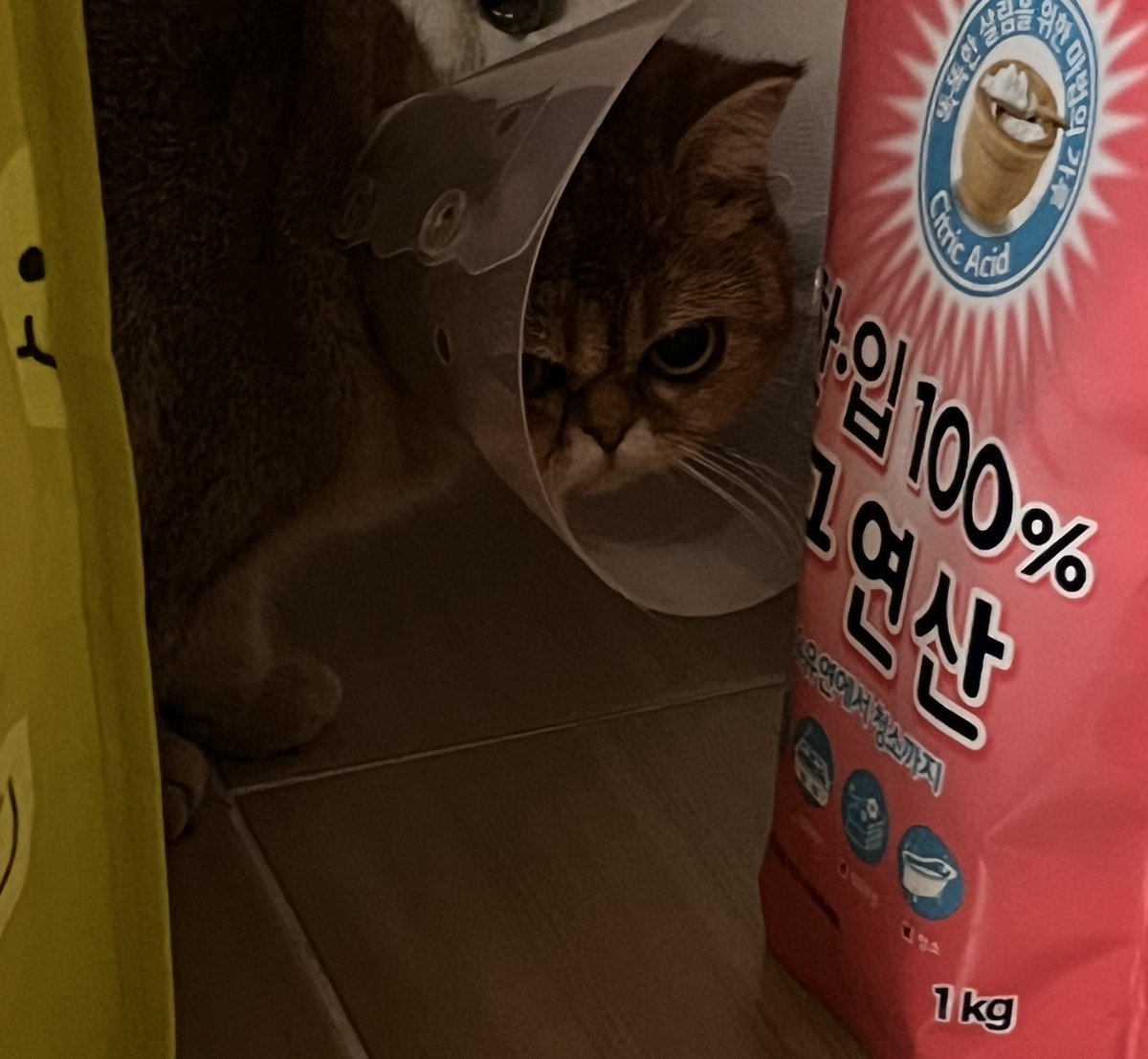 너무웃겨서 참기힘듬