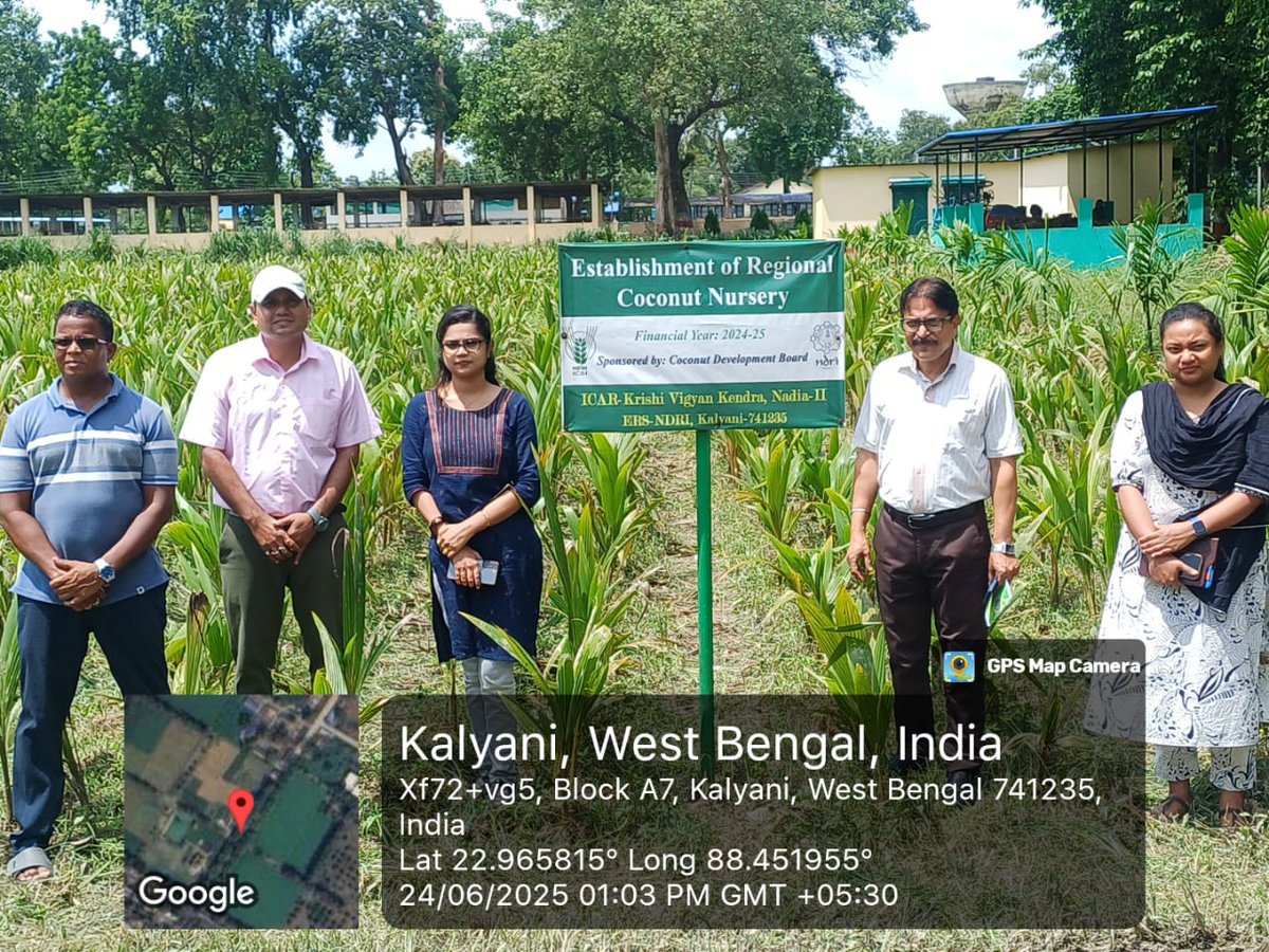 CoconutBoard's tweet image. Joint inspection conducted for certification of Regional Coconut Nursery at ICAR-KVK, NDRI (ERS), Kalyani, Nadia.

👥 Officials from:
🔹 CDB, State Centre-Kolkata
🔹 ICAR-KVK, NDRI-ERS
🔹 Dept. of FPI &amp;amp; Horticulture, Govt. of WB

#CoconutDevelopment #KVK #Nadia #Horticulture